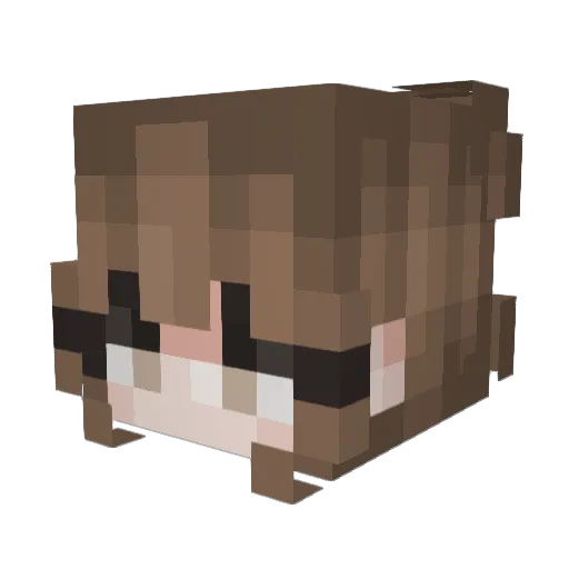Taby22 Minecraft avatar head, 3D render