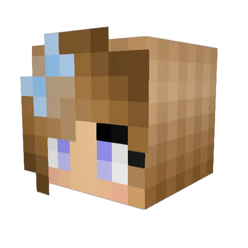 Tac05 Minecraft avatar head, 3D render