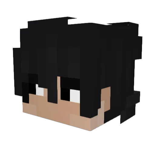 Tac0ciT Minecraft avatar head, 3D render