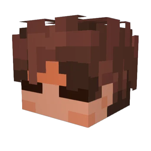 Tacana Minecraft avatar head, 3D render