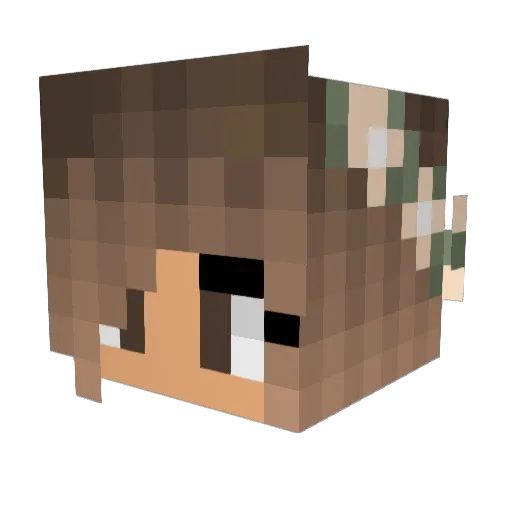 Taccosareboss Minecraft avatar head, 3D render