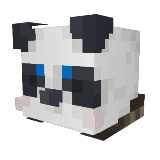 Tachan123 Minecraft avatar head, 3D render
