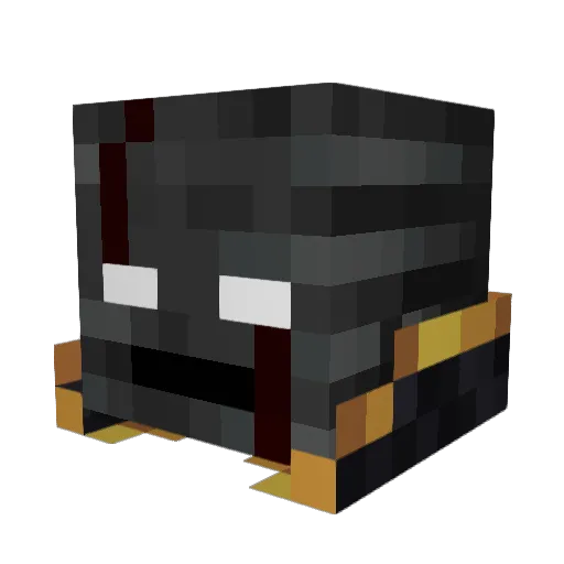 Tachan2020 Minecraft avatar head, 3D render