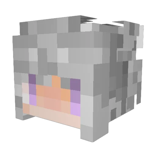 TachoTacho Minecraft avatar head, 3D render