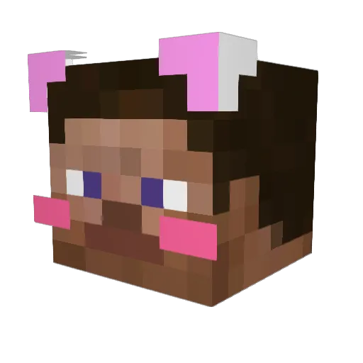 Tachuar Minecraft avatar head, 3D render