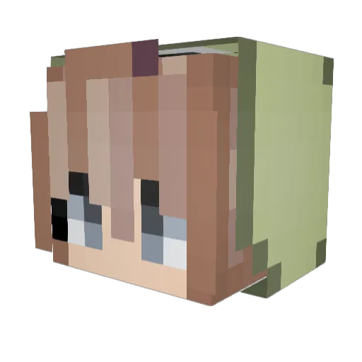 Tachy1 Minecraft avatar head, 3D render