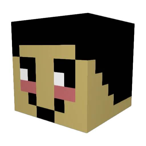TacmLeo Minecraft avatar head, 3D render