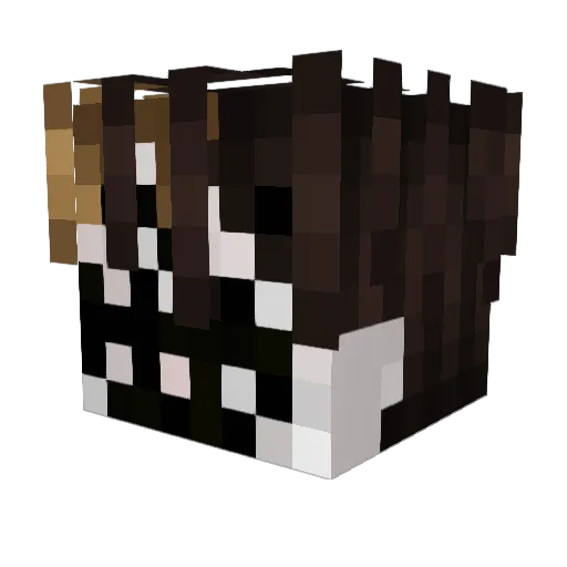 Tacno Minecraft avatar head, 3D render