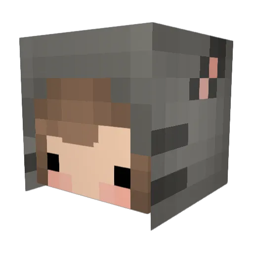 Taco12Pack Minecraft avatar head, 3D render