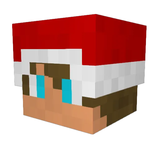 Taco750 Minecraft avatar head, 3D render