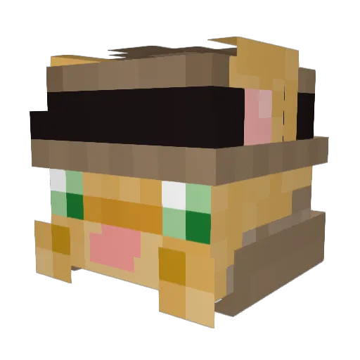 Taco82Cat Minecraft avatar head, 3D render