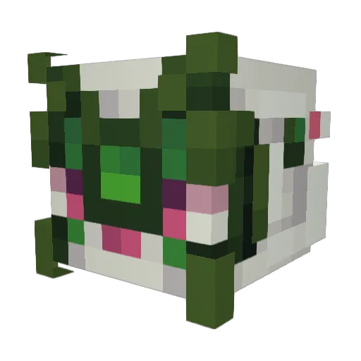 Taco92_ Minecraft avatar head, 3D render