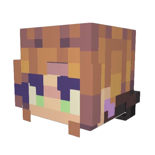 TacoBell445 Minecraft avatar head, 3D render