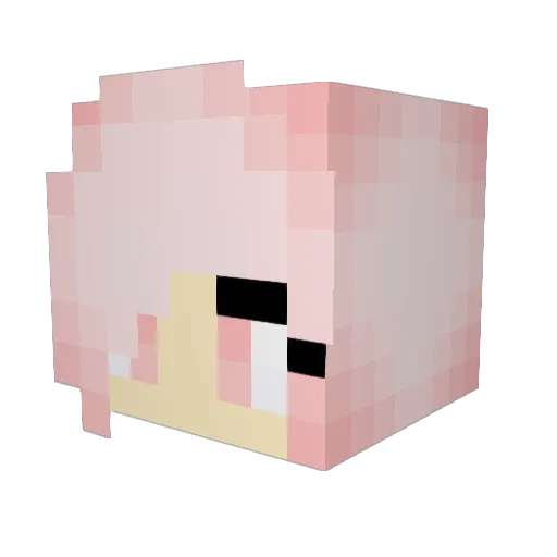 TacoBot1234 Minecraft avatar head, 3D render