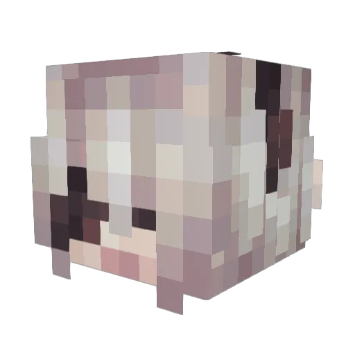 TacoBuritooo Minecraft avatar head, 3D render