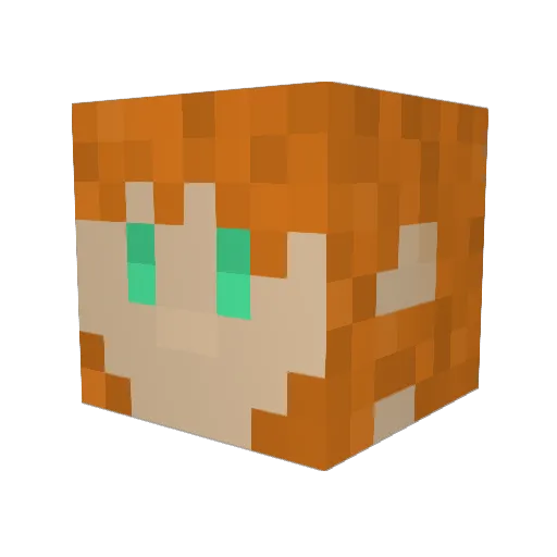 TacoCanon Minecraft avatar head, 3D render
