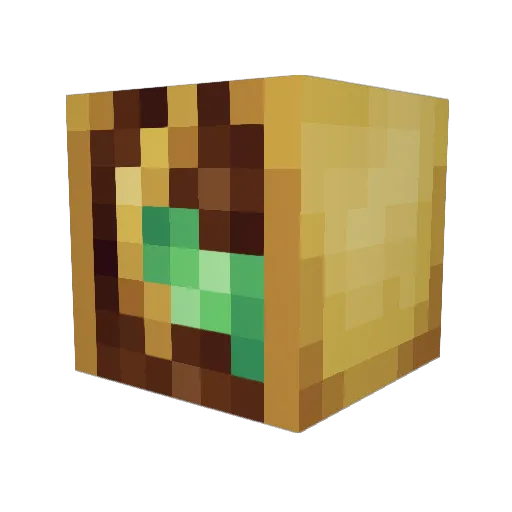 TacoCat218 Minecraft avatar head, 3D render