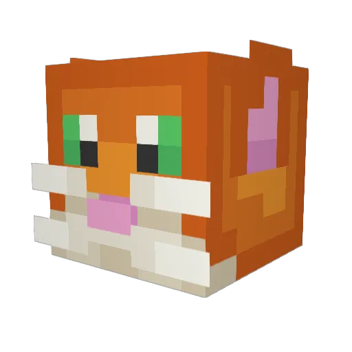 TacoCatGamingTTV Minecraft avatar head, 3D render