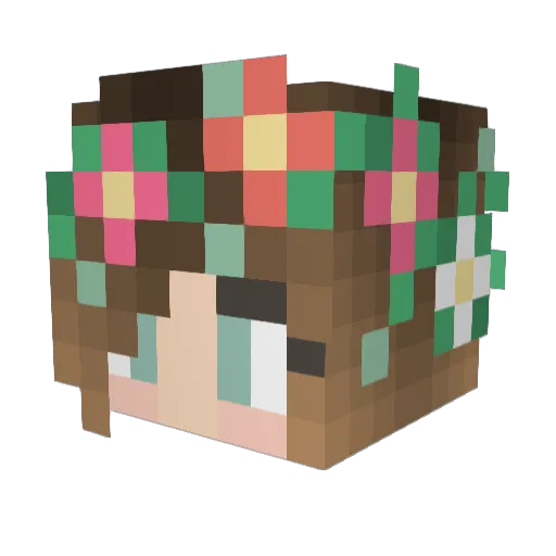 TacoCatzz Minecraft avatar head, 3D render