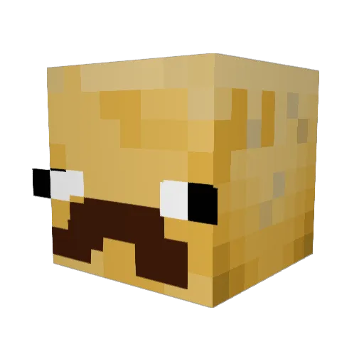TacoDestroyer692 Minecraft avatar head, 3D render