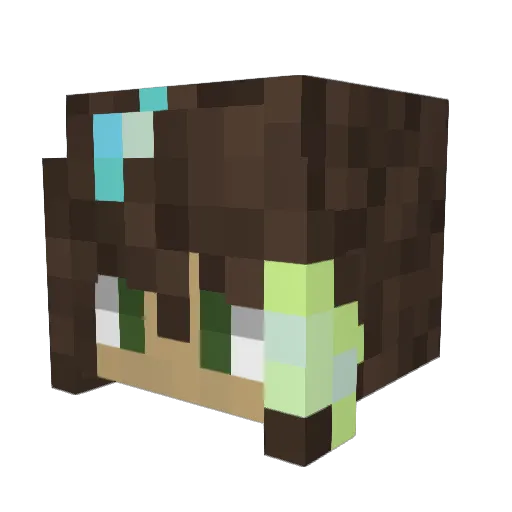 TacoDucko Minecraft avatar head, 3D render