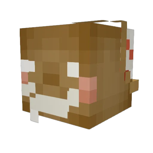 TacoEnchanter Minecraft avatar head, 3D render