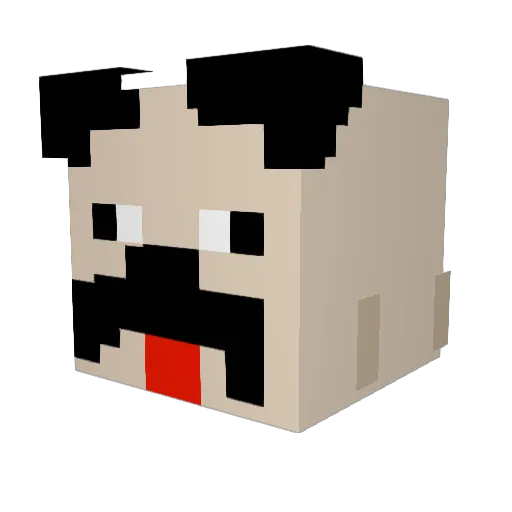 TacoFace06 Minecraft avatar head, 3D render