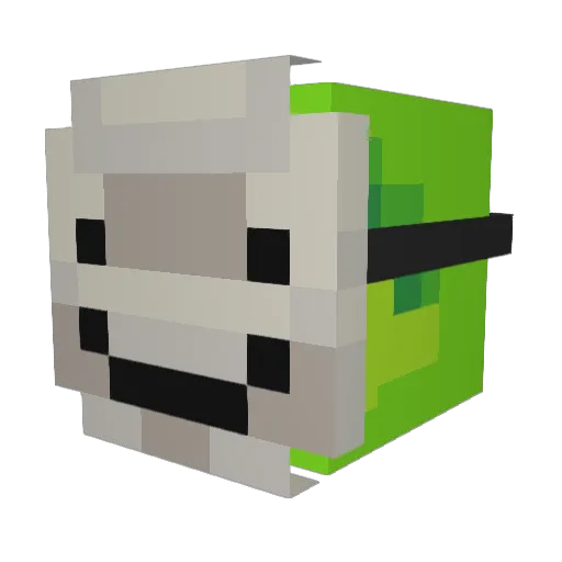 TacoGod911 Minecraft avatar head, 3D render