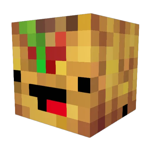 TacoGuy21 Minecraft avatar head, 3D render