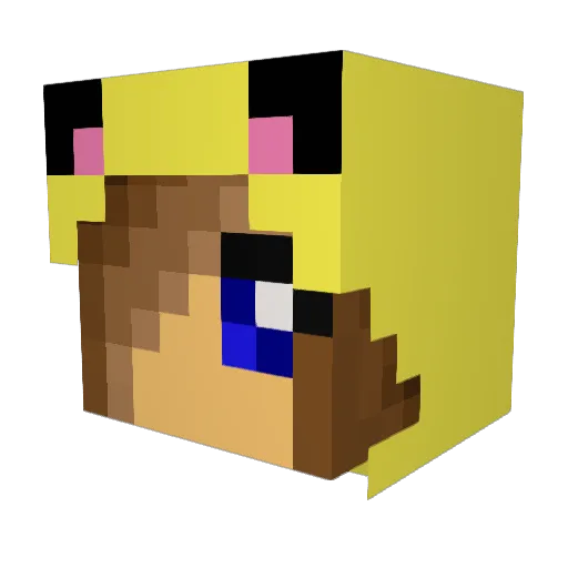 TacoLubber Minecraft avatar head, 3D render