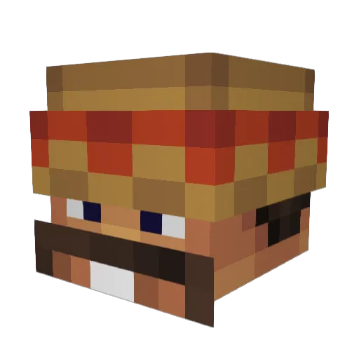 TacoMan13008 Minecraft avatar head, 3D render