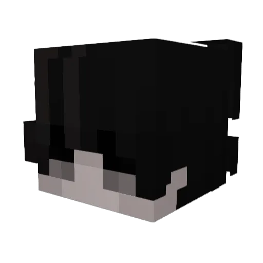TacoManiac123 Minecraft avatar head, 3D render