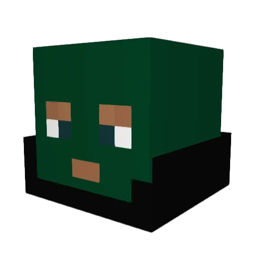 TacoNinja04 Minecraft avatar head, 3D render