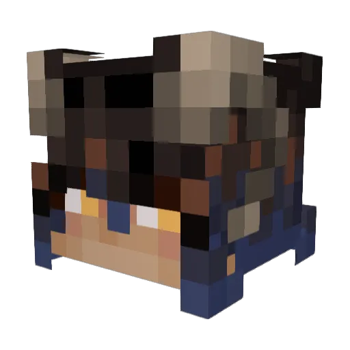 TacoPacketsfull Minecraft avatar head, 3D render