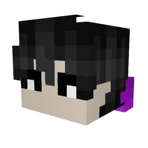 TacoPug711 Minecraft avatar head, 3D render
