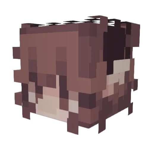 TacoRiichi Minecraft avatar head, 3D render