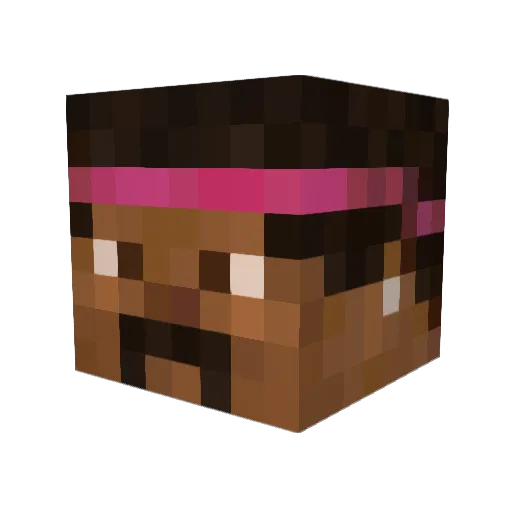 TacoRising Minecraft avatar head, 3D render