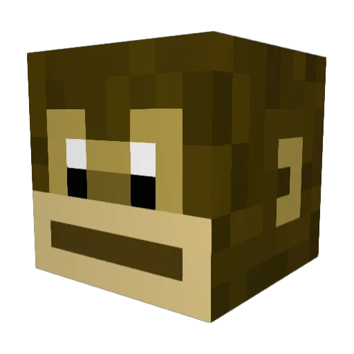 TacoRoom22 Minecraft avatar head, 3D render