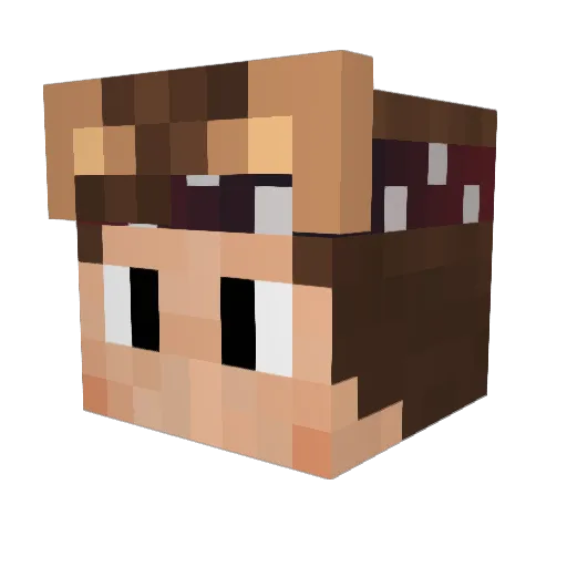 TacoSalat2 Minecraft avatar head, 3D render