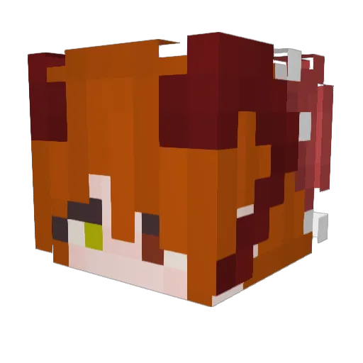 TacoSheTaco Minecraft avatar head, 3D render