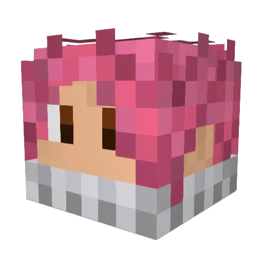 TacoStandGuy Minecraft avatar head, 3D render
