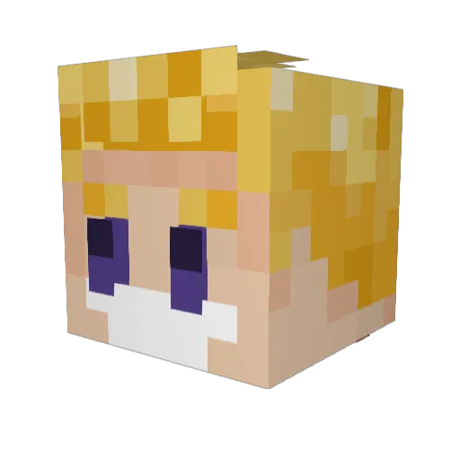 TacoTeriyaki Minecraft avatar head, 3D render