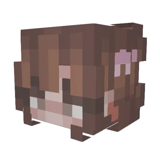 TacoToffy Minecraft avatar head, 3D render
