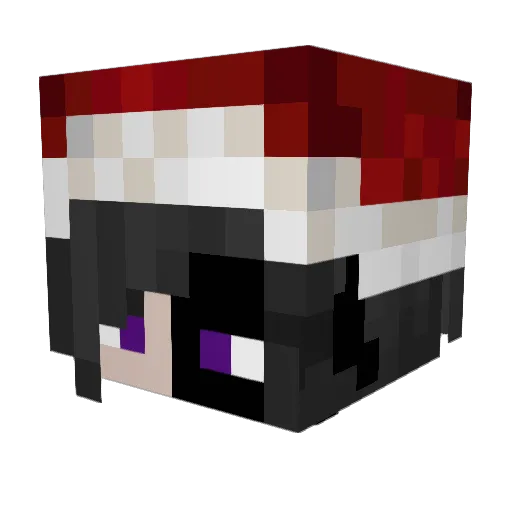 TacoTuesdayMC Minecraft avatar head, 3D render