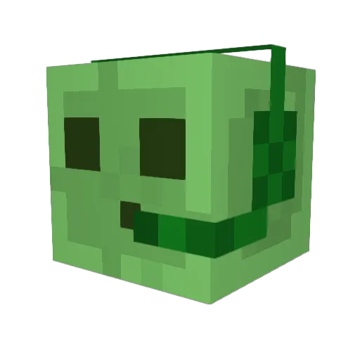 TacoWarrior55 Minecraft avatar head, 3D render