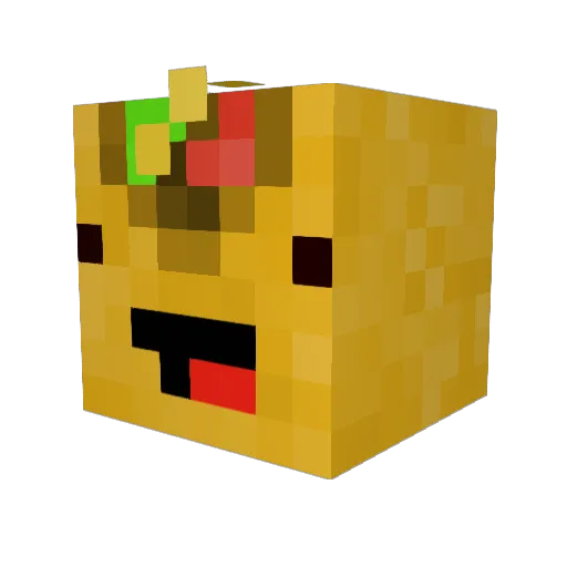 TacoZach Minecraft avatar head, 3D render