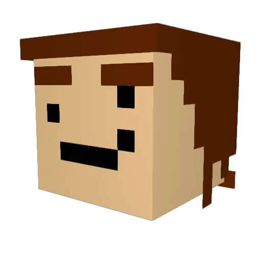 Taco_Bot Minecraft avatar head, 3D render