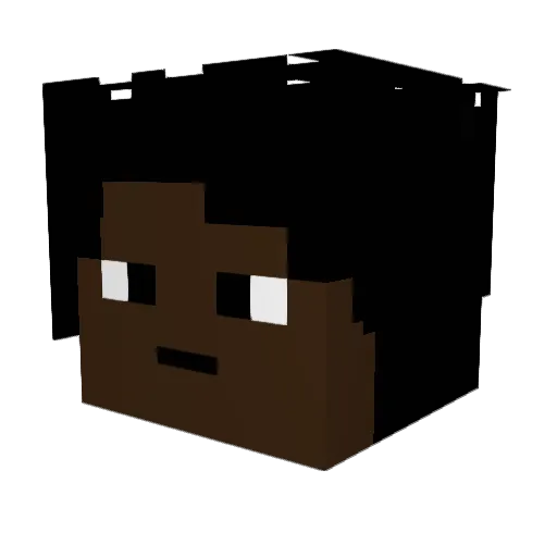 Taco_Bro Minecraft avatar head, 3D render