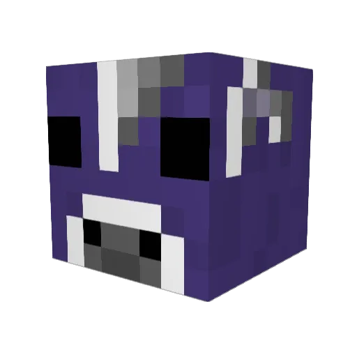 Taco_Cat2113 Minecraft avatar head, 3D render