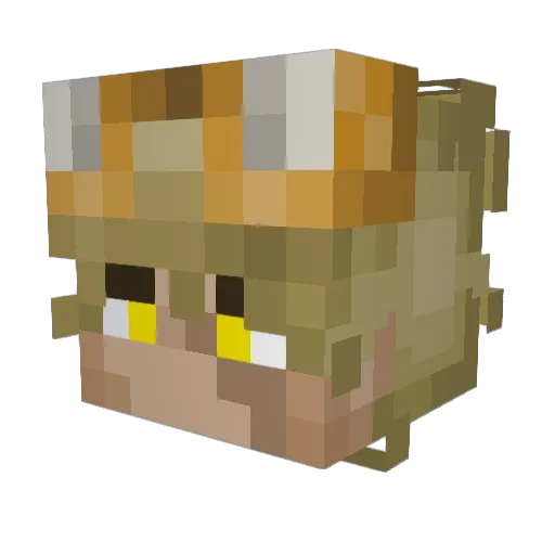 Taco_Drive Minecraft avatar head, 3D render